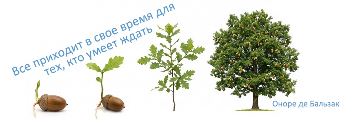 Продвижение молодых сайтов Продвижение молодых сайтов